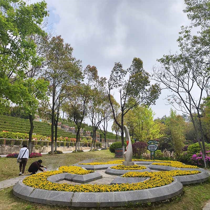 墓区展示