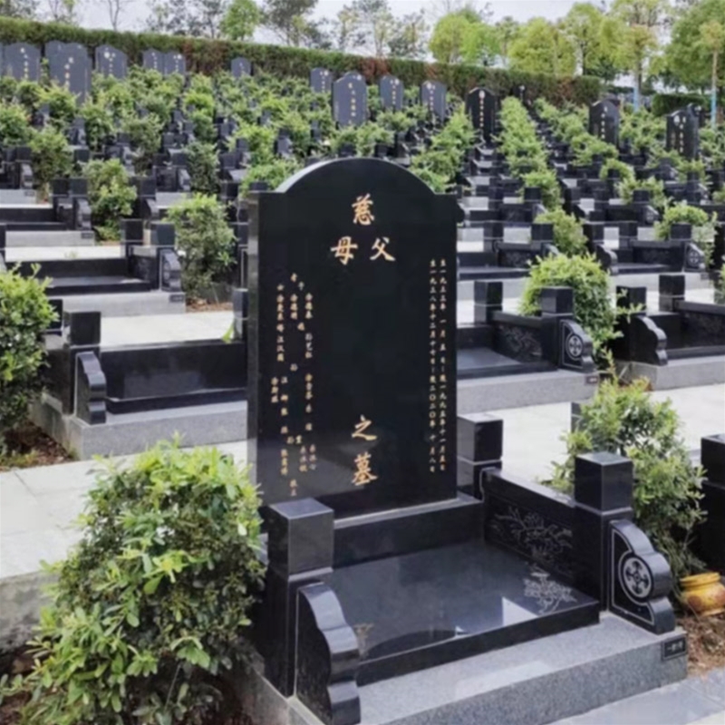 安乐苑1区